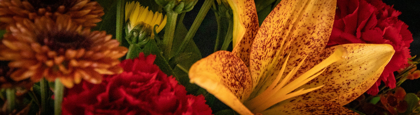 The Harvest Collection